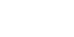 Shopify Logo White 300x150